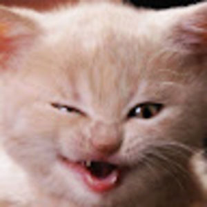 Meet your Posher, Lanay